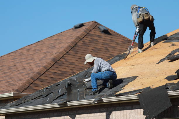 Best Roof Insulation Installation  in Belvedere, SC