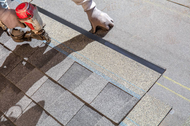 Best Roof Ventilation Installation  in Belvedere, SC